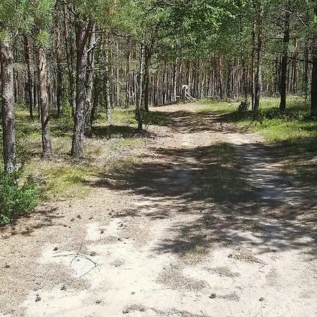 Dom W Sosnowym Lesie Przy Jeziorze Lipnica (Bytow)