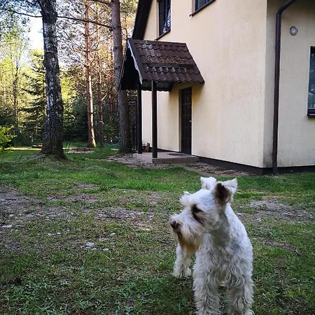 Dom W Sosnowym Lesie Przy Jeziorze Lipnica (Bytow)