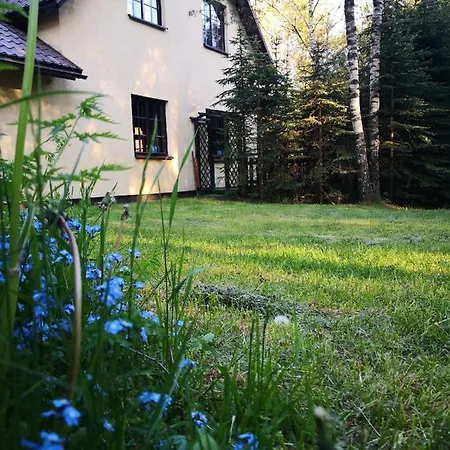 Dom W Sosnowym Lesie Przy Jeziorze Casa vacanze